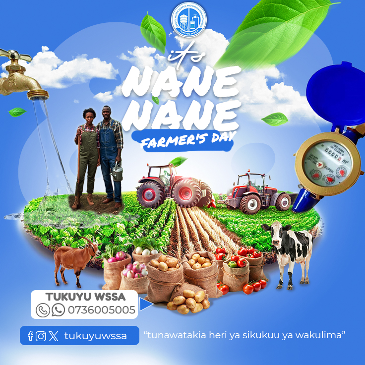Nane Nane Vol.3