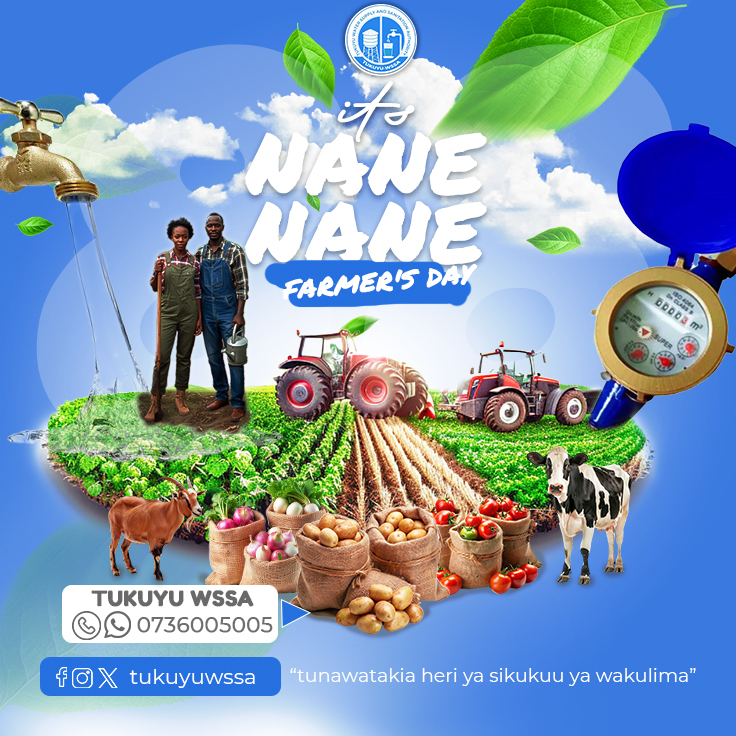 Nane Nane Poster